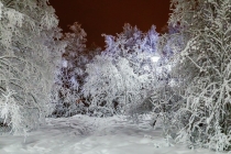 Зима 2018